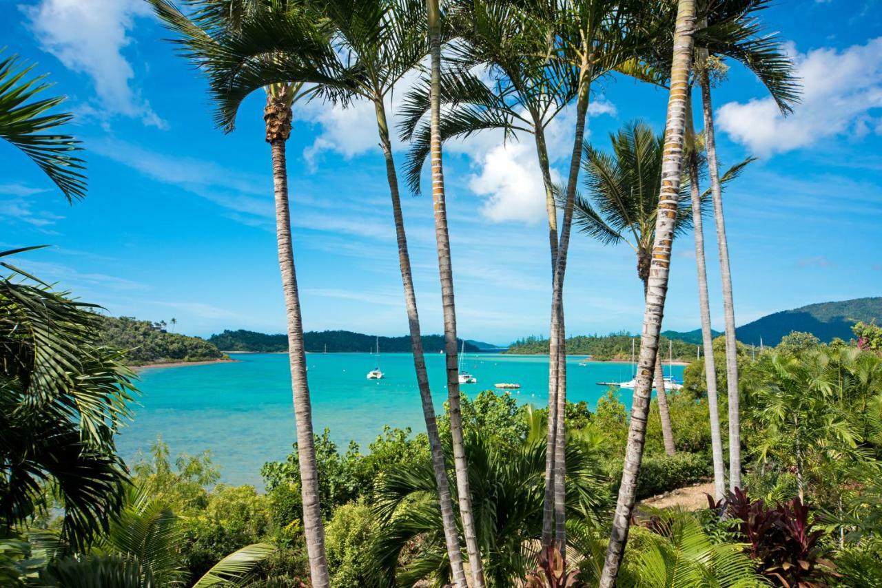 Appartement Baybliss Escape #4 - Adults Only à Shute Harbour Extérieur photo